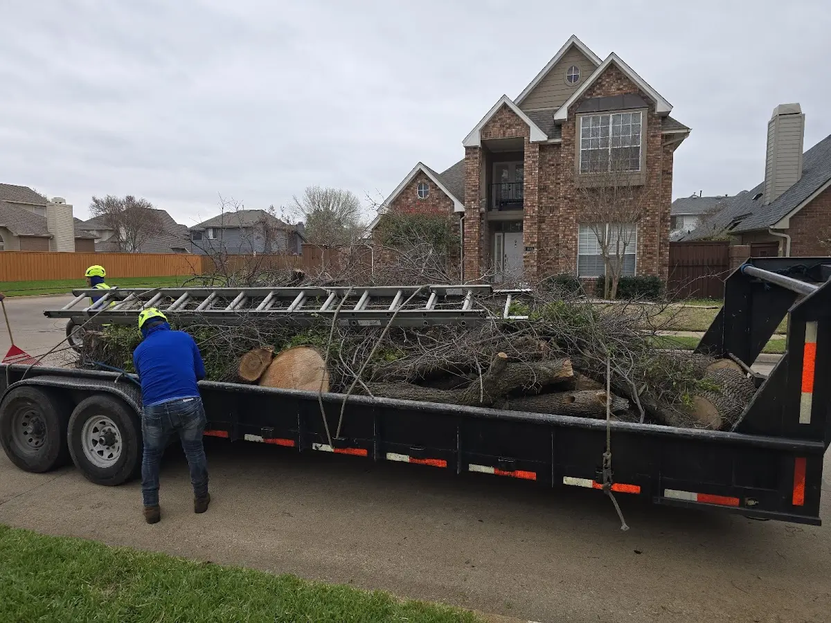 Expert Tree Fertilization with proper safety equipment in Collinston